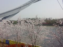 -澹台湖公园