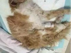 iphone_upload_pic-盛京一禾