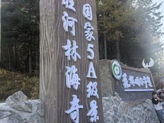 -汤旺河林海奇石景区