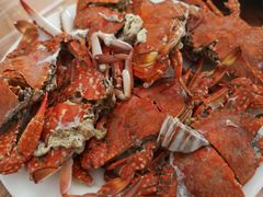 -陈岱后山窑鸡店