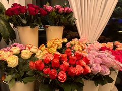 -龟兹KUCINA·新疆菜(前滩L+PLAZA店)
