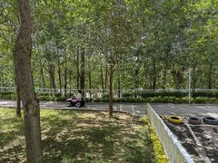 -西部长青自然儿童乐园