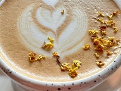 -sugarman espresso素饮糖人高新咖啡工厂