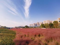 -灞河西岸滨河公园