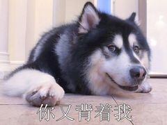 -孖记茶档·热腾茶餐(乐峰店)