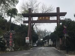 -阿巧茶庄