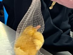 -有间冰室(侨港风情街店)