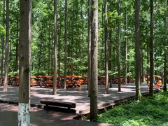 -黄海国家森林公园