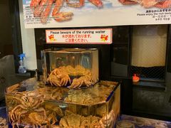 -蟹道乐(道顿堀本店)