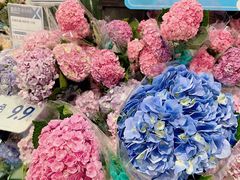 -盒马鲜生(岭南新世界店)