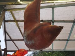 -一品烧农庄·佛山本地特色菜