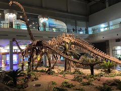 -自贡恐龙博物馆