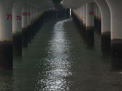 -演武大桥观景平台