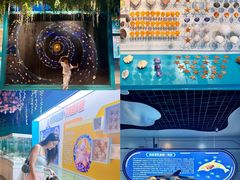 -海合安武汉极地海洋公园