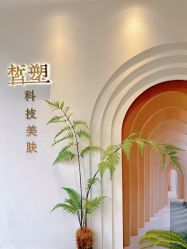 -皙塑美肤·spa