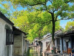 -绍兴鲁迅故里·沈园景区