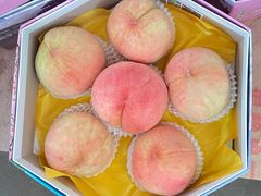 -南汇水蜜桃采摘(大团店)