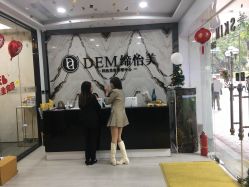 -DEM缔怡美科技美容