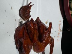 -鸽子侯·家宴·平价海鲜(市图书馆店)