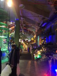 -恐龙探索乐园(磁器口店)