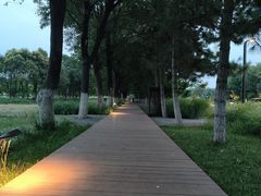 -汉长安城未央宫国家考古遗址公园