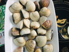 -蚝专家