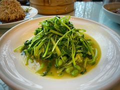豆腐皮鸡毛菜-冶春茶社(官园桥店)