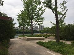 -新江湾城公园