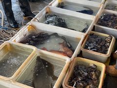 -新渔享海鲜餐厅(广海渔人码头店)
