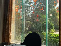 -江门新会碧桂园凤悦凤凰酒店(万达广场店)