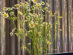 -鹿港小镇(金虹桥国际中心店)