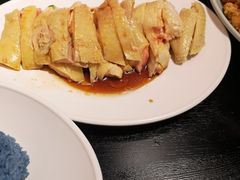-Asianplus海蓝鸡饭
