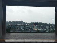 -西双版纳傣族园
