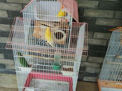 -碧水湾温泉