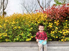 -南翔镇银翔湖公园