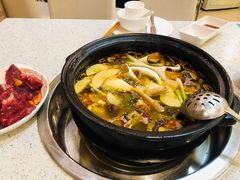 -蜀皇·菌汤鲜黄牛肉汤锅(宽窄巷子店)