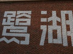 -美的鹭湖森林度假区