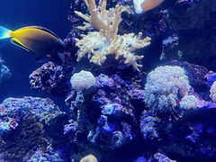 -海合安青岛极地海洋公园