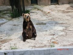 -大连森林动物园