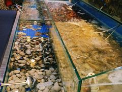-港畔赶海蒸汽海鲜烧烤自助(仙螺岛店)