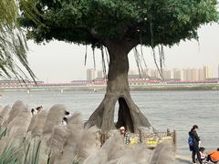 -咸阳湖景区
