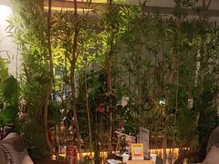-施奈儿.洗头頭療.按摩SPA.采耳(上梅林店)