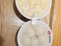 -海丝金凤(金鱼店)