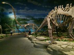 -自贡恐龙博物馆