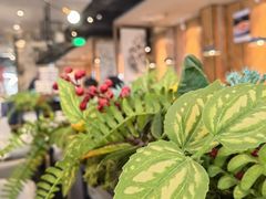 -川成元·麻辣香锅(凯德MALL西直门店)