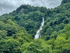 -瓦屋山景区