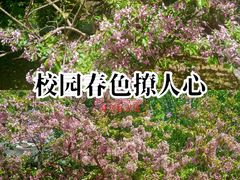 -中国农业大学(西校区)