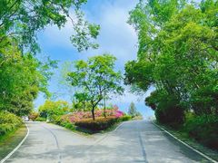 -南京市江宁方山