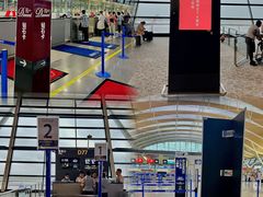 -全日本空输株式会社(上海办事处)