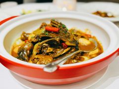 砂锅生焖黄皮水鱼-富淳饭店(世纪公园店)